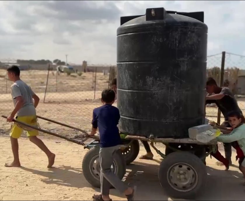 WhatsApp Image 2024-10-25 at 2.51.20 PM