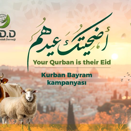 Your Qurban is Their Eid