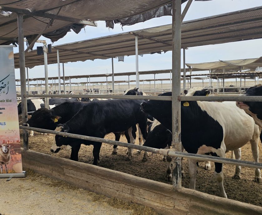 ٢٠٢٥٠٤٢٩_١٥١٢٥١