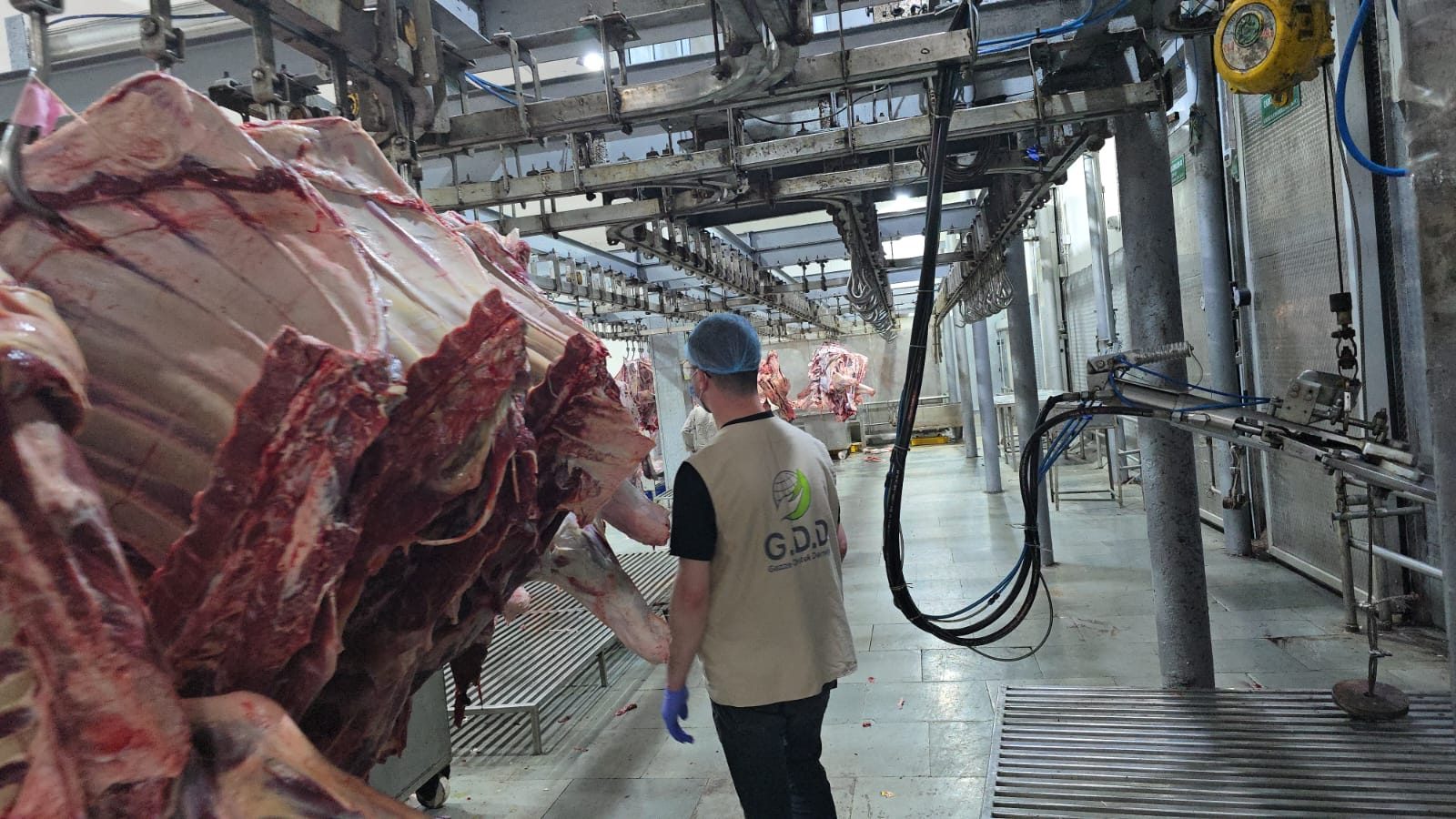 WhatsApp Image 2025-06-05 at 6.28.45 PM