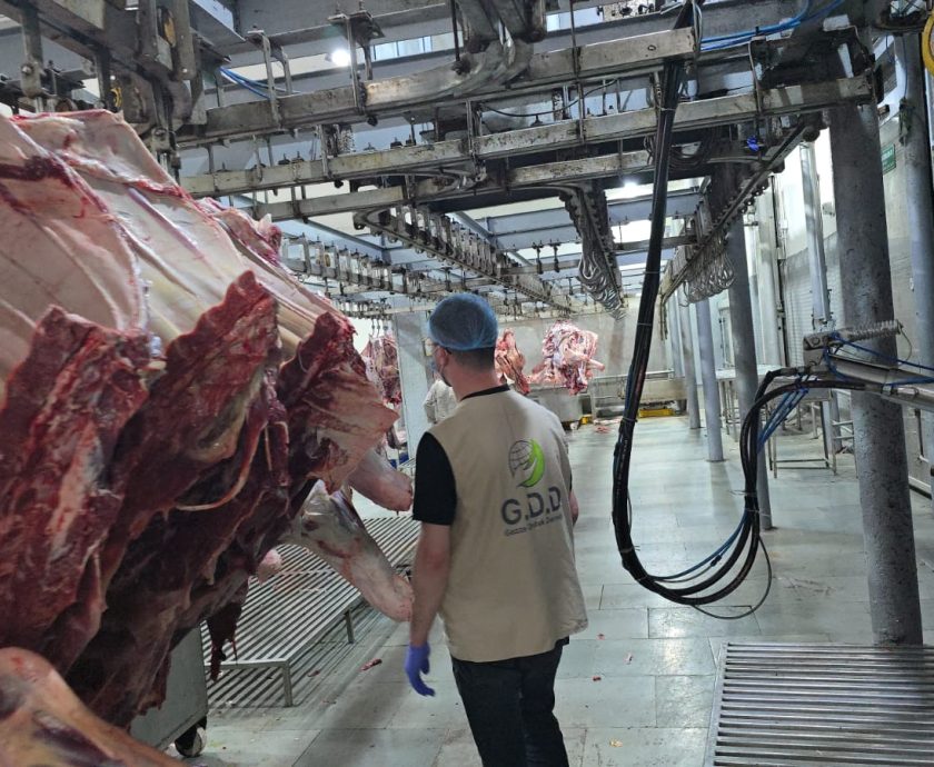 WhatsApp Image 2025-06-05 at 6.28.45 PM