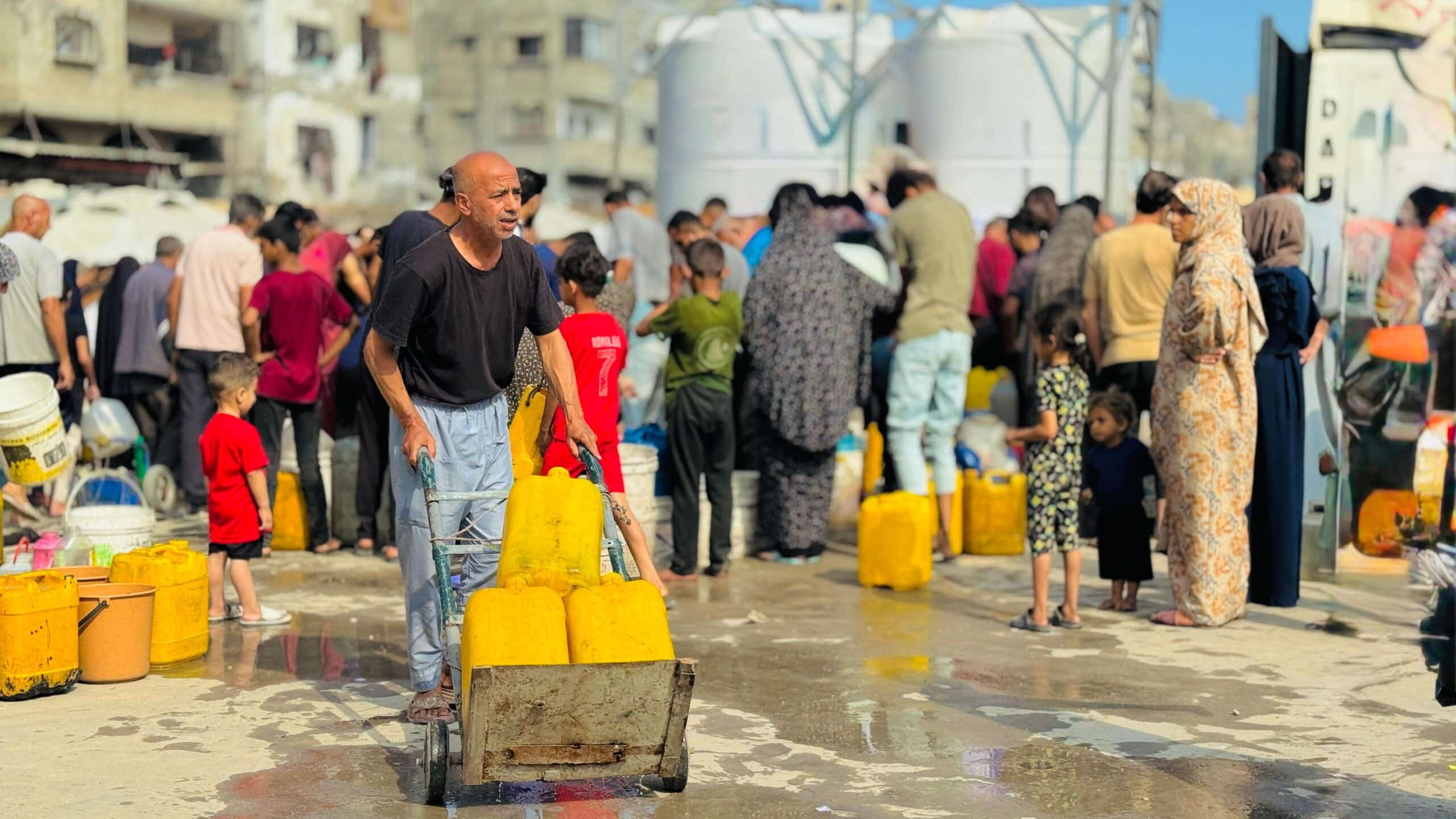 WhatsApp Image 2025-06-17 at 12.21.33 PM